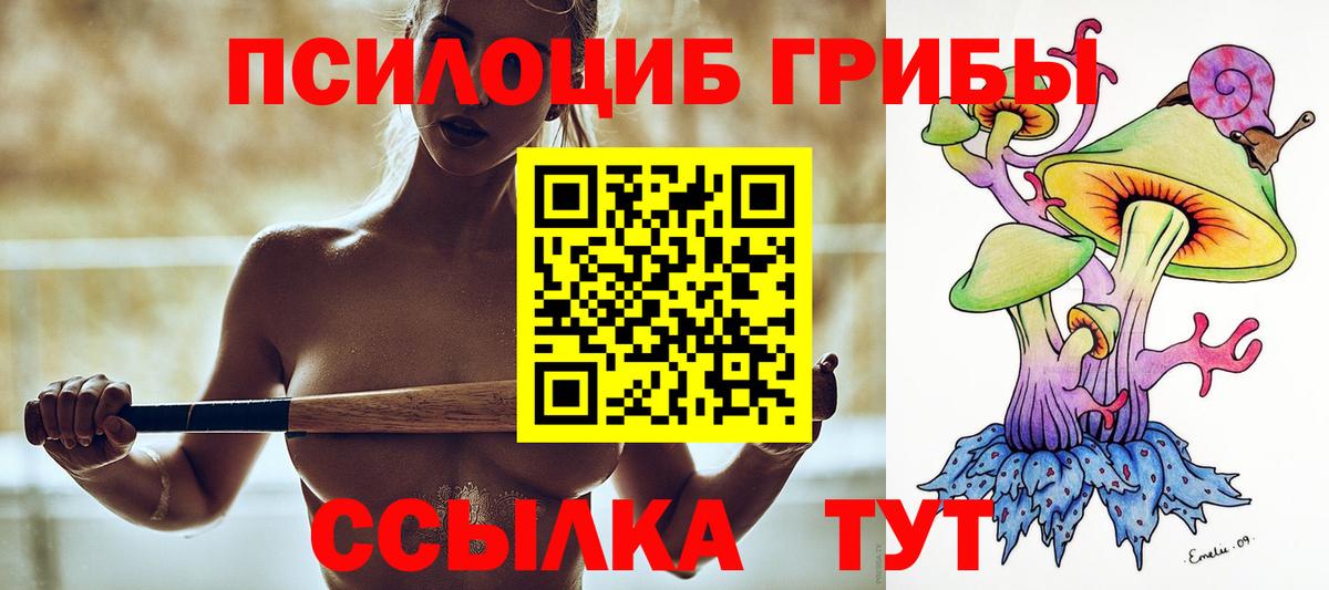 Галлюциногенные грибы Psilocybine cubensis  наркотики  Южноуральск  Вход с VPN  Псилоцибиновые грибы MAGIC MUSHROOMS 